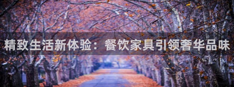 球盟会登陆中心：精致生活新体验：餐饮家具引领奢华品味