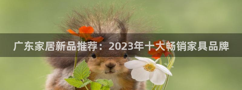 球盟会APP最新地址：广东家居新品推荐：2023年十大畅销家