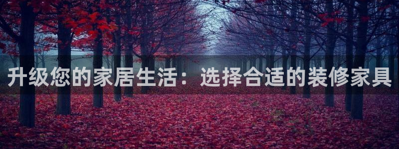 球盟会官方网入口