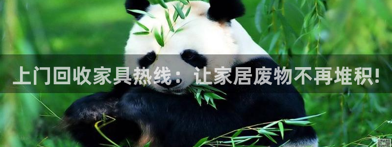 球盟会登录平台入口