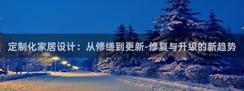 球盟会用的客服聊天是哪个软件