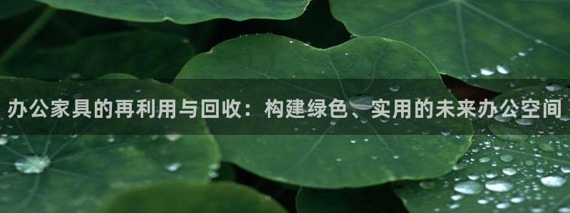 球盟会官方网站app
