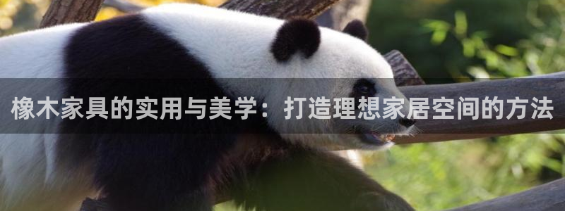 球盟会黑款吗是真的吗