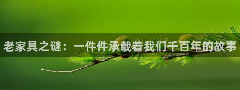 球盟会综合app下载