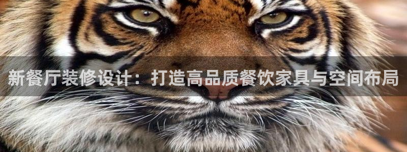 球盟会官网入口