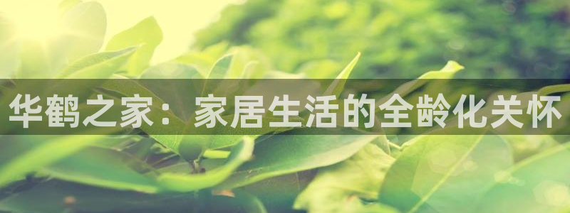 球盟会和中欧会的区别