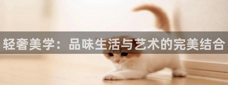 千亿球盟会乐玩