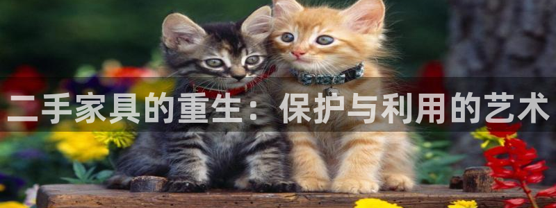 球盟会网页登录入口