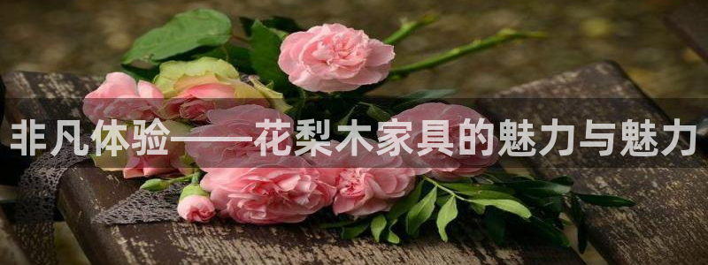 球盟会app网址多少