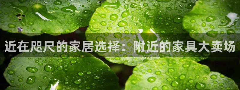 球盟会最新活动
