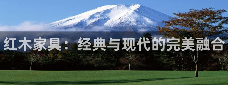 球盟会app网址多少