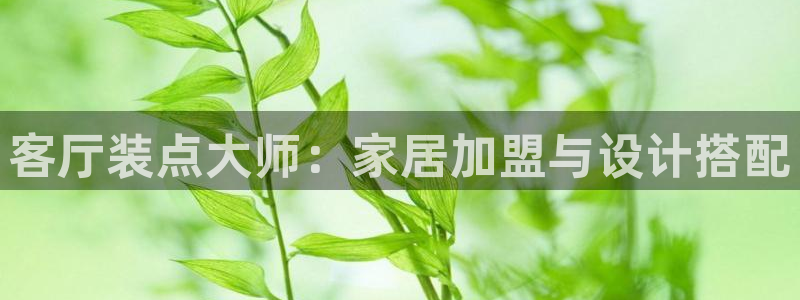 球盟会可以提现么现在