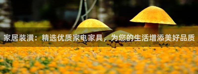 球盟会官方最新入口