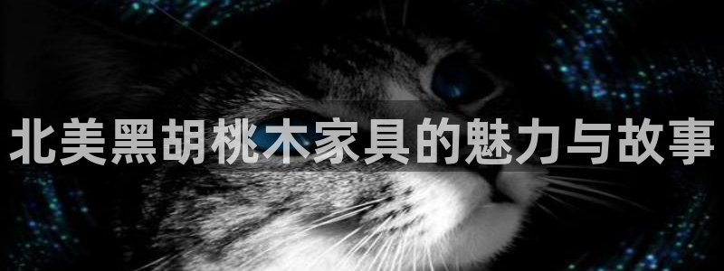 球盟会进不去球员吗