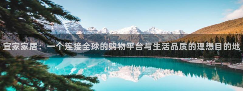 球盟会app手机登录：宜家家居：一个连接全球的购物平台与生活