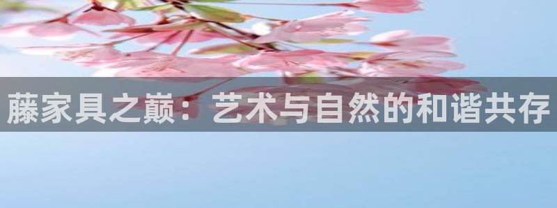球盟会app最新地址下载安装