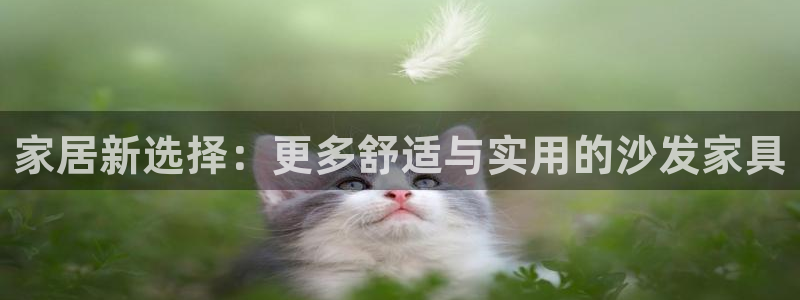 球盟会app最新地址在哪里