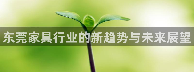 球盟会qmh登录地址