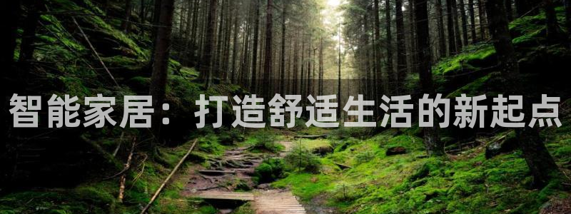 球盟会
