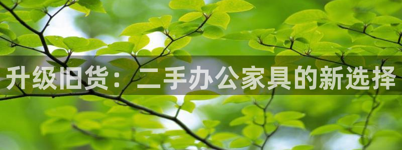 球盟会下款快吗