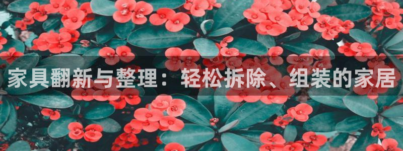 球盟会邮箱
