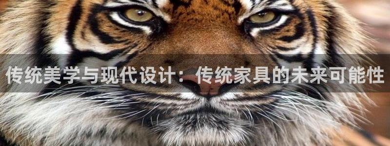 球盟会qmh - 球盟会官方网站：传统美学与现代设计：传统家