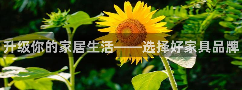 球盟会和中欧会的区别