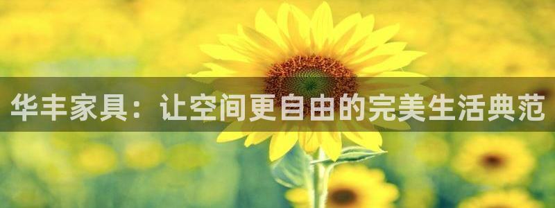 球盟会体育平台